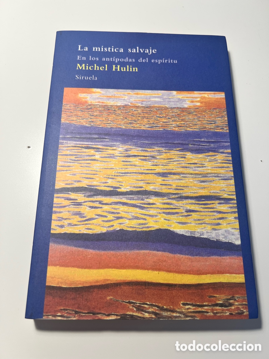 Libros de segunda mano: La m&iacute;stica salvaje - Michel Hulin
