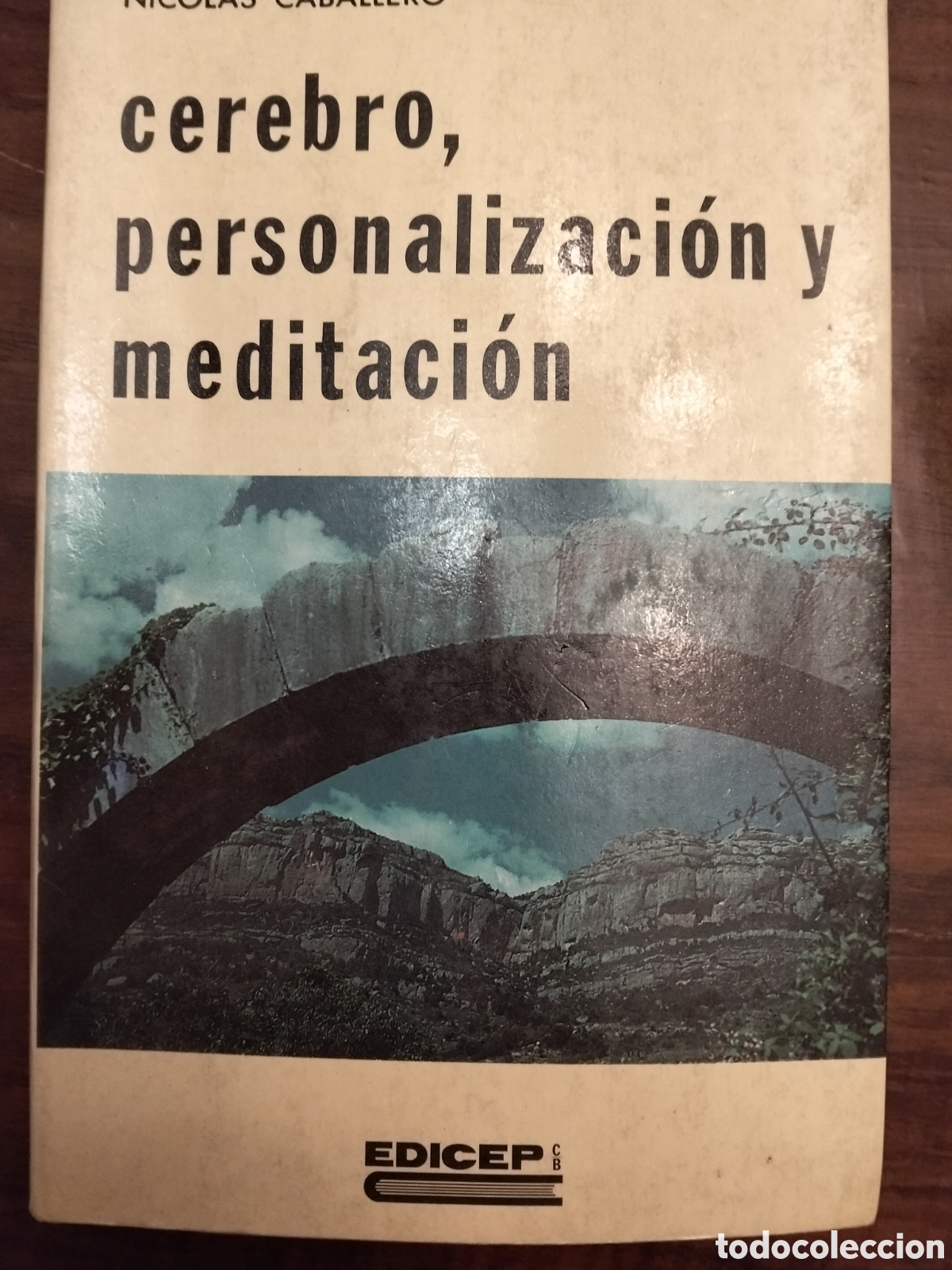 Libros de segunda mano: CEREBRO PERSONALIZACION Y MEDITACI&Oacute;N