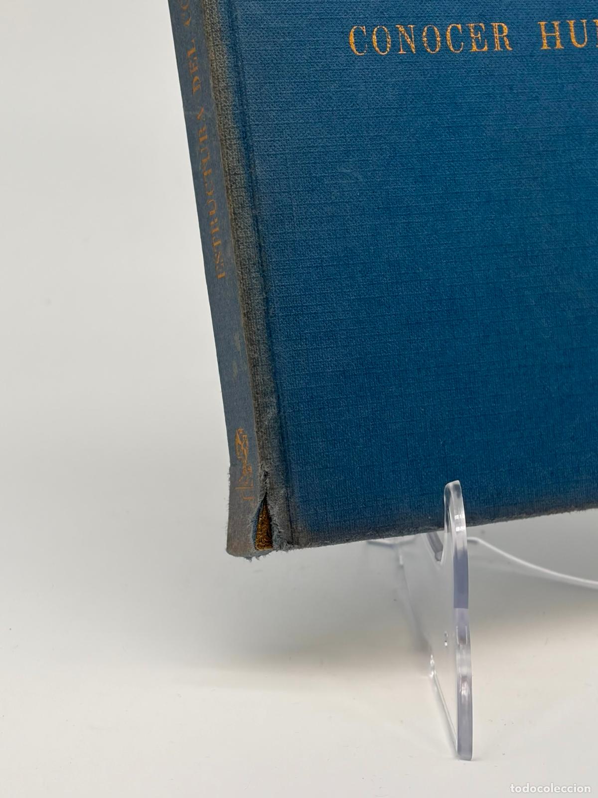 Libros de segunda mano: RABADE MORENO, Sergio. Estructura del conocer humano - Foto 2