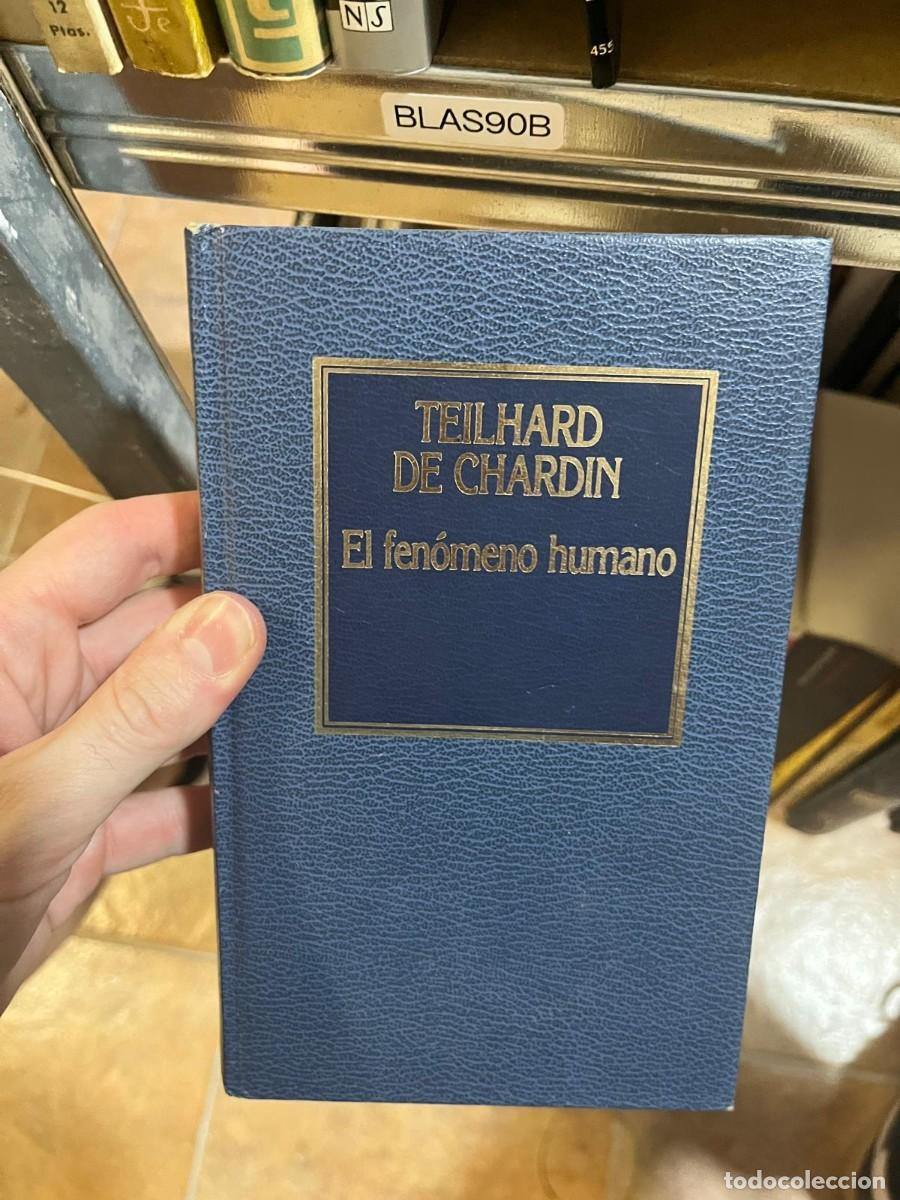 Libros de segunda mano: BLAS90B &ndash; El fen&oacute;meno humano &mdash; Teilhard de Chardin &mdash; Orbis