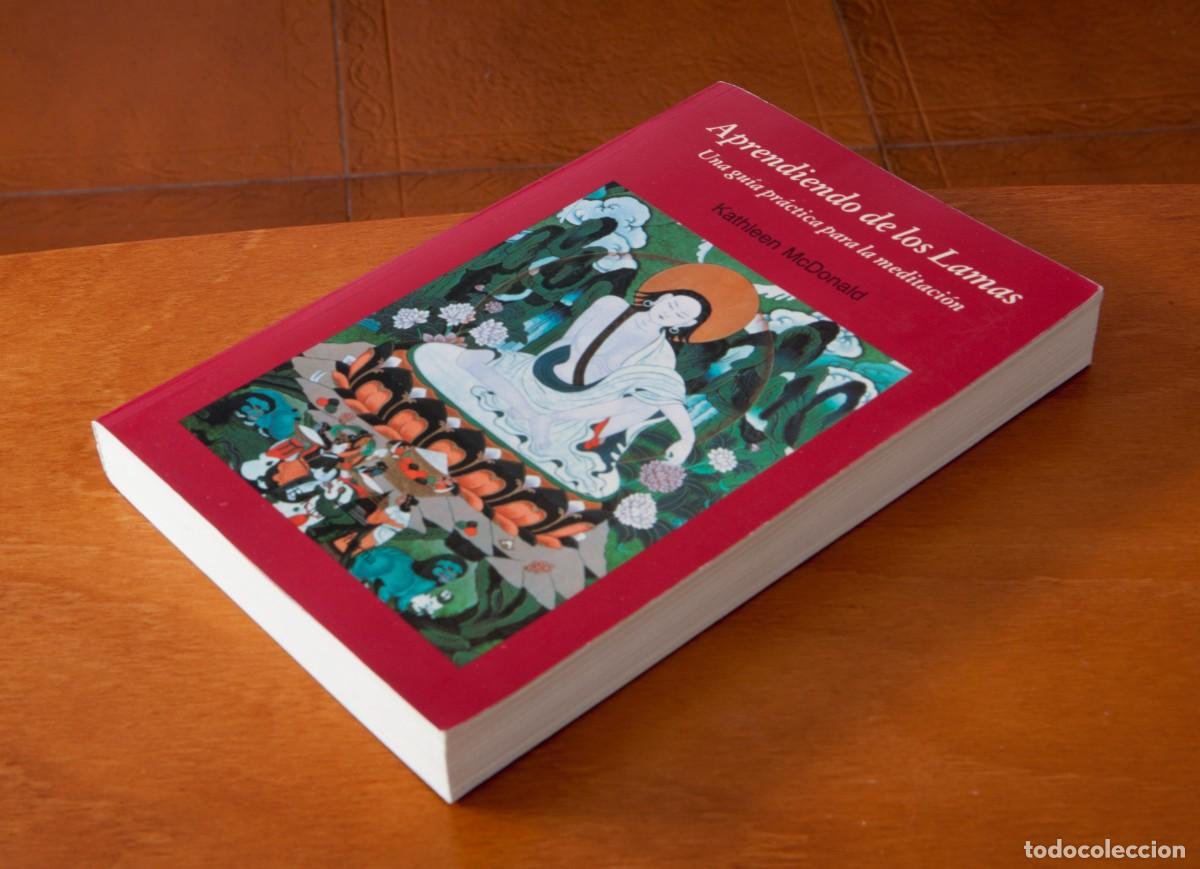 Libros de segunda mano: Aprendiendo de los Lamas Una gu&iacute;a pr&aacute;ctica para la meditaci&oacute;n Kathleen McDonald Ediciones DHARMA