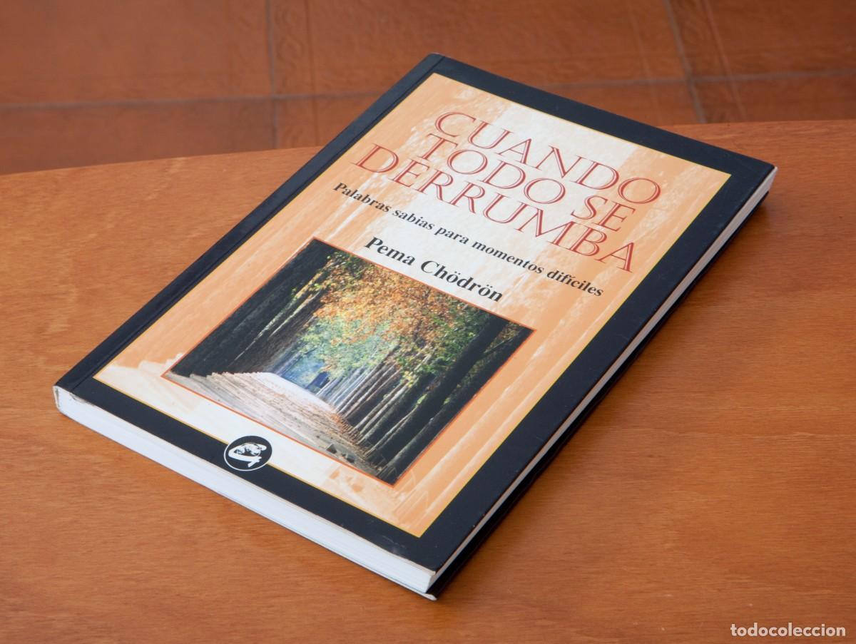 Libros de segunda mano: CUANDO TODO SE DERRUMBA Palabras sabias para momentos dif&iacute;ciles Pema Ch&ouml;dr&ouml;m
