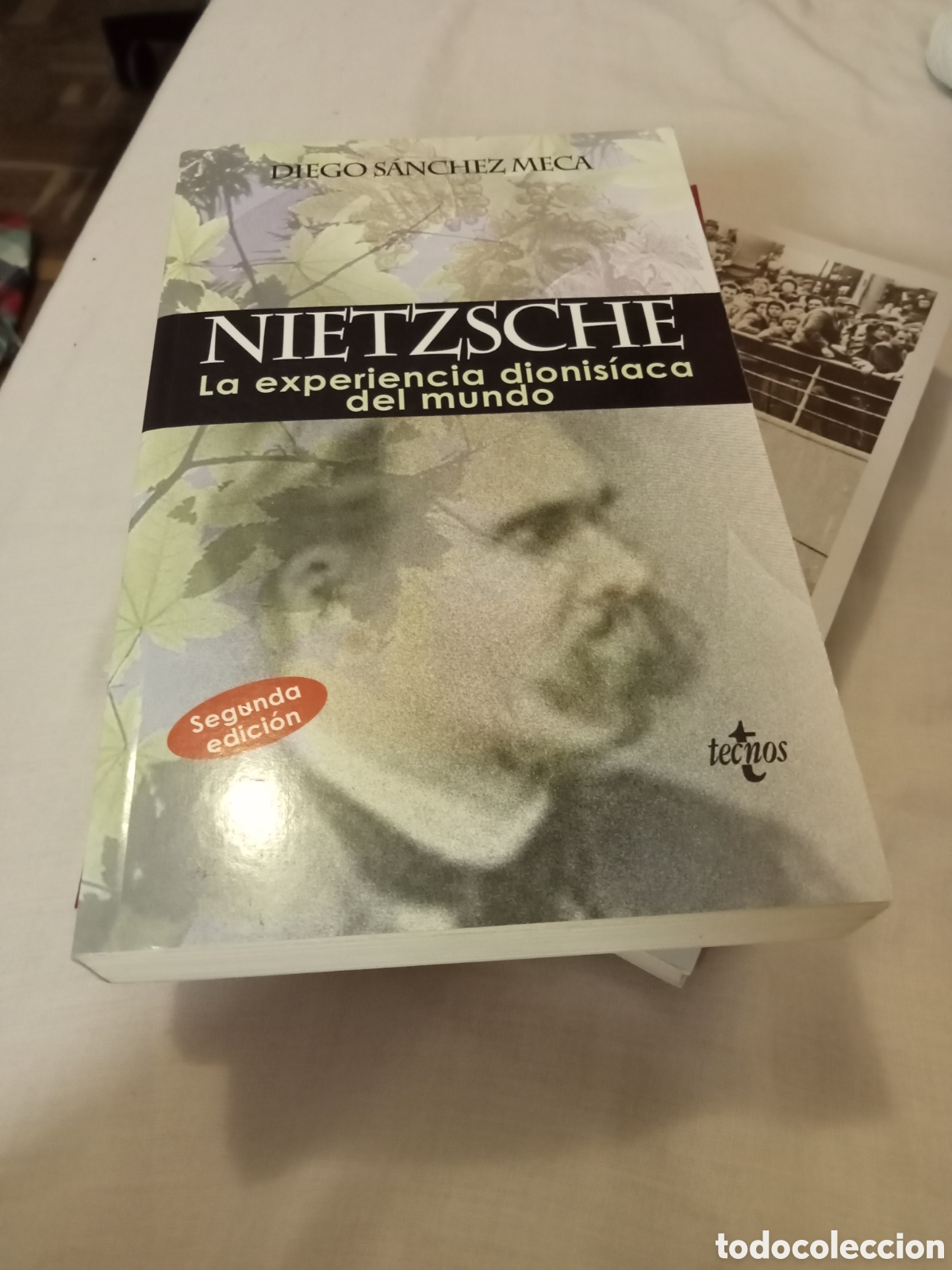 Libros de segunda mano: Diego S&aacute;nchez Meca. Nietzsche ... Tecnos 2006