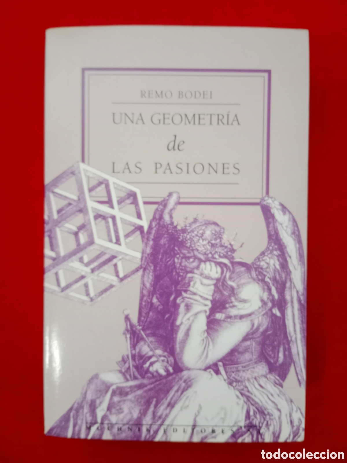 Libros de segunda mano: UNA GEOMETR&Iacute;A DE LAS PASIONES, REMO BODEI, PRIMERA EDICI&Oacute;N