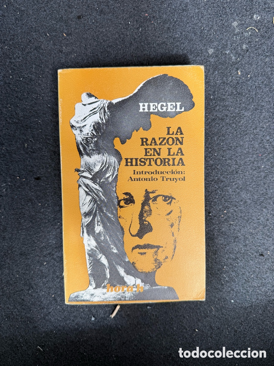 Libros de segunda mano: LA RAZON EN LA HISTORIA - HEGEL - INTRODUCCION ANTONIO TRUYOL - HORA H - ENSAYOS Y DOCUMENTOS