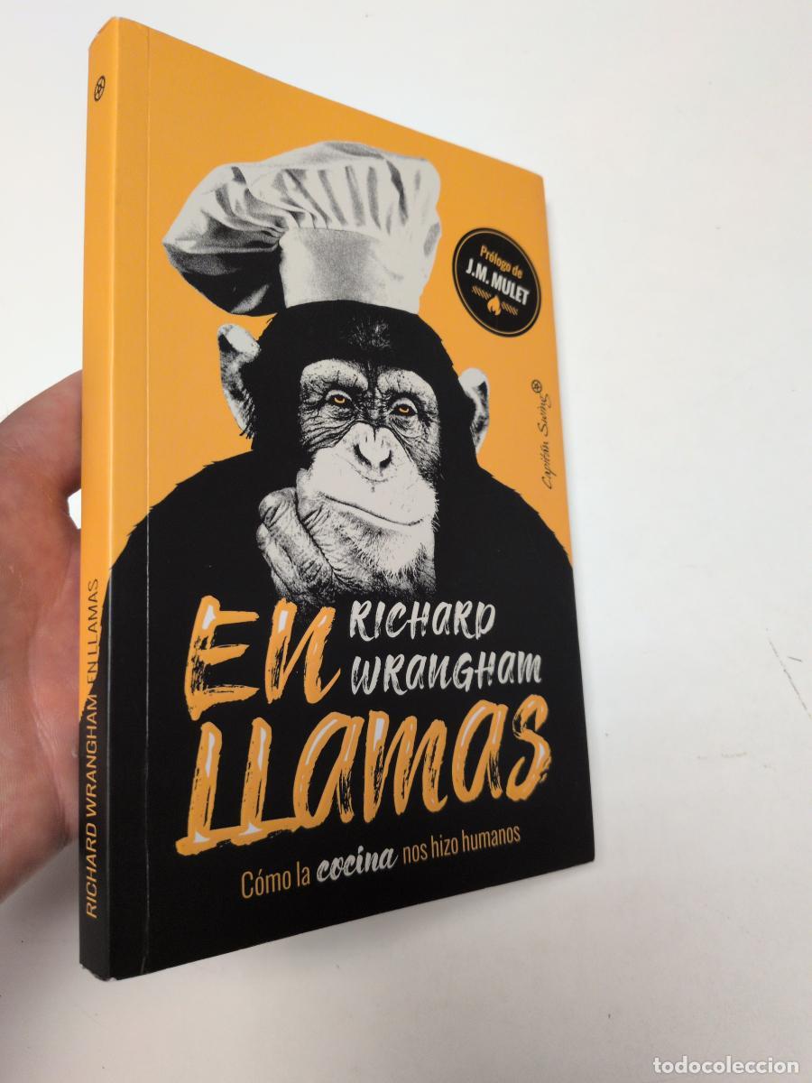 Libros de segunda mano: En llamas - WRANGHAM, RICHARD