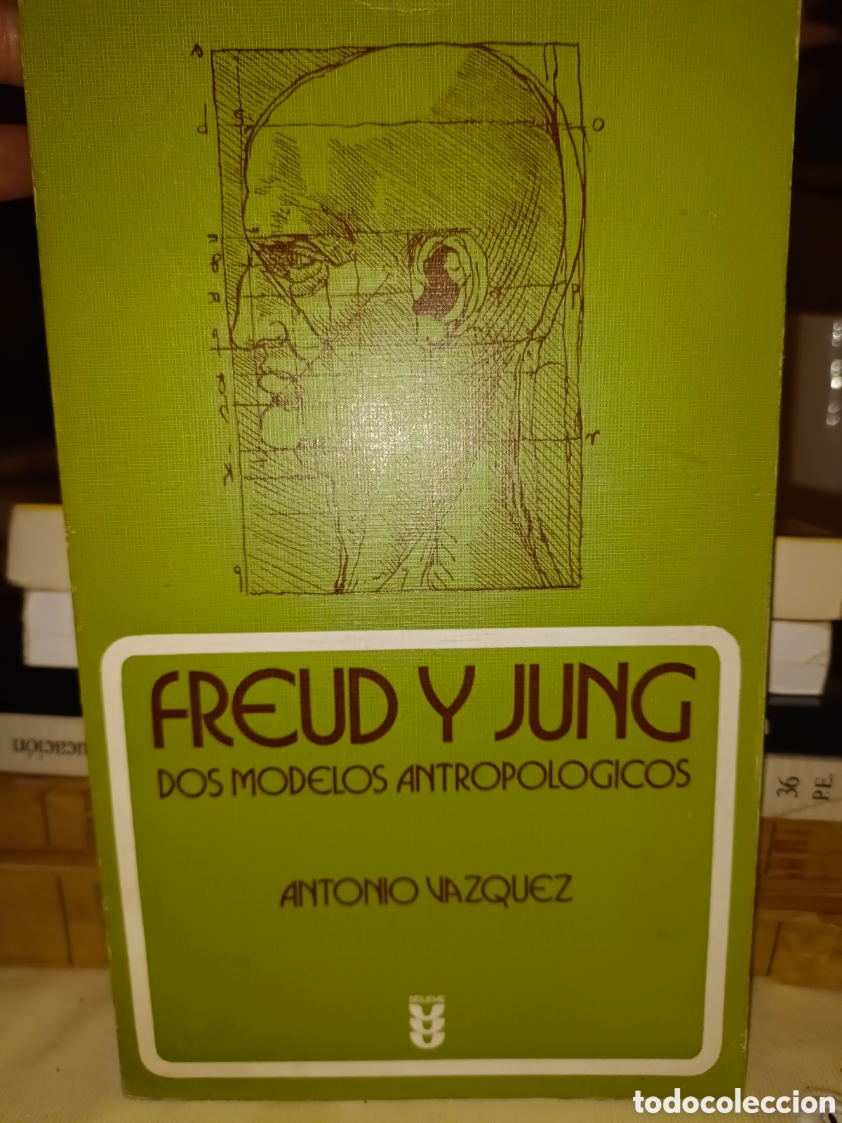 Libros de segunda mano: Freud y Jung dos modelos antropologicos - Foto 1