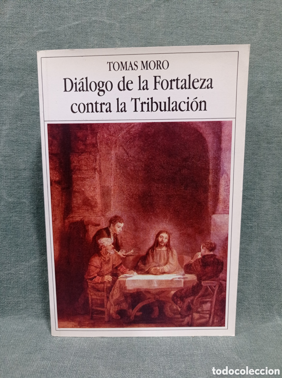 Libros de segunda mano: DI&Aacute;LOGO DE LA FORTALEZA CONTRA LA TRIBULACI&Oacute;N - TOM&Aacute;S MORO - ED. RIALP - 1988