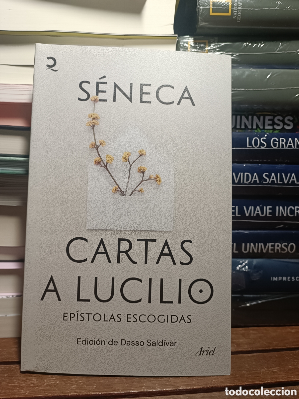 Libros de segunda mano: Seneca cartas a lucilio ep&iacute;stolas escogidas Ariel 2025 pol&iacute;tica roma aforismos