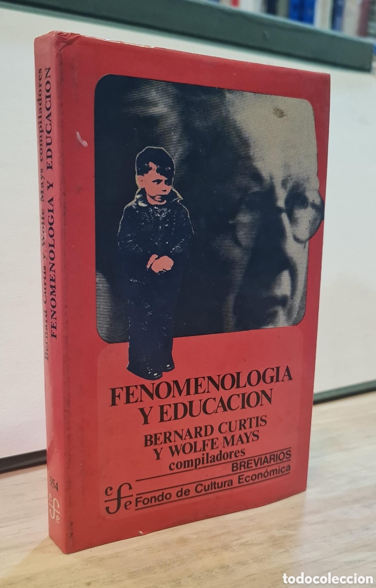 Gebrauchte B&uuml;cher: Fenomenolog&iacute;a y educaci&oacute;n - Bernard Curtis y Wolfe Mays (Comps.)