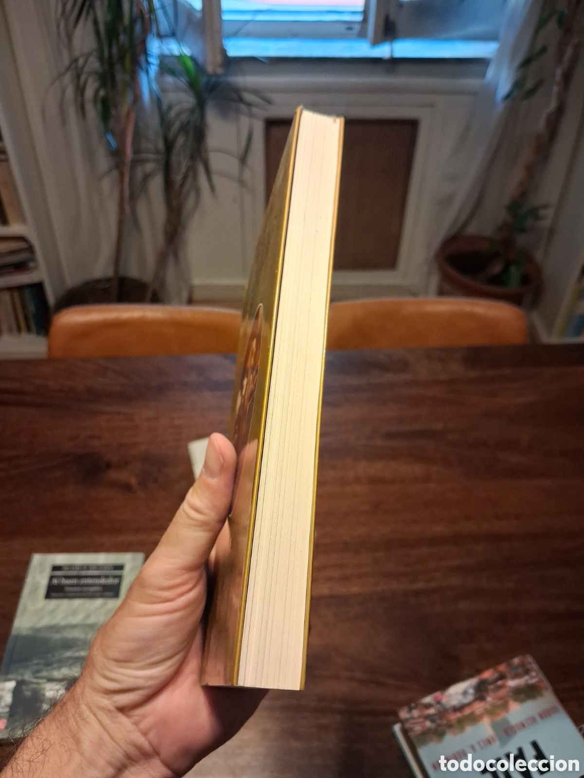 Libros de segunda mano: El libro de las quimeras, E.M. Cioran - Foto 2