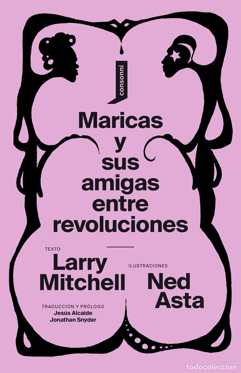 Libros de segunda mano: Maricas y sus amigas entre revoluciones. - Asta Ned.