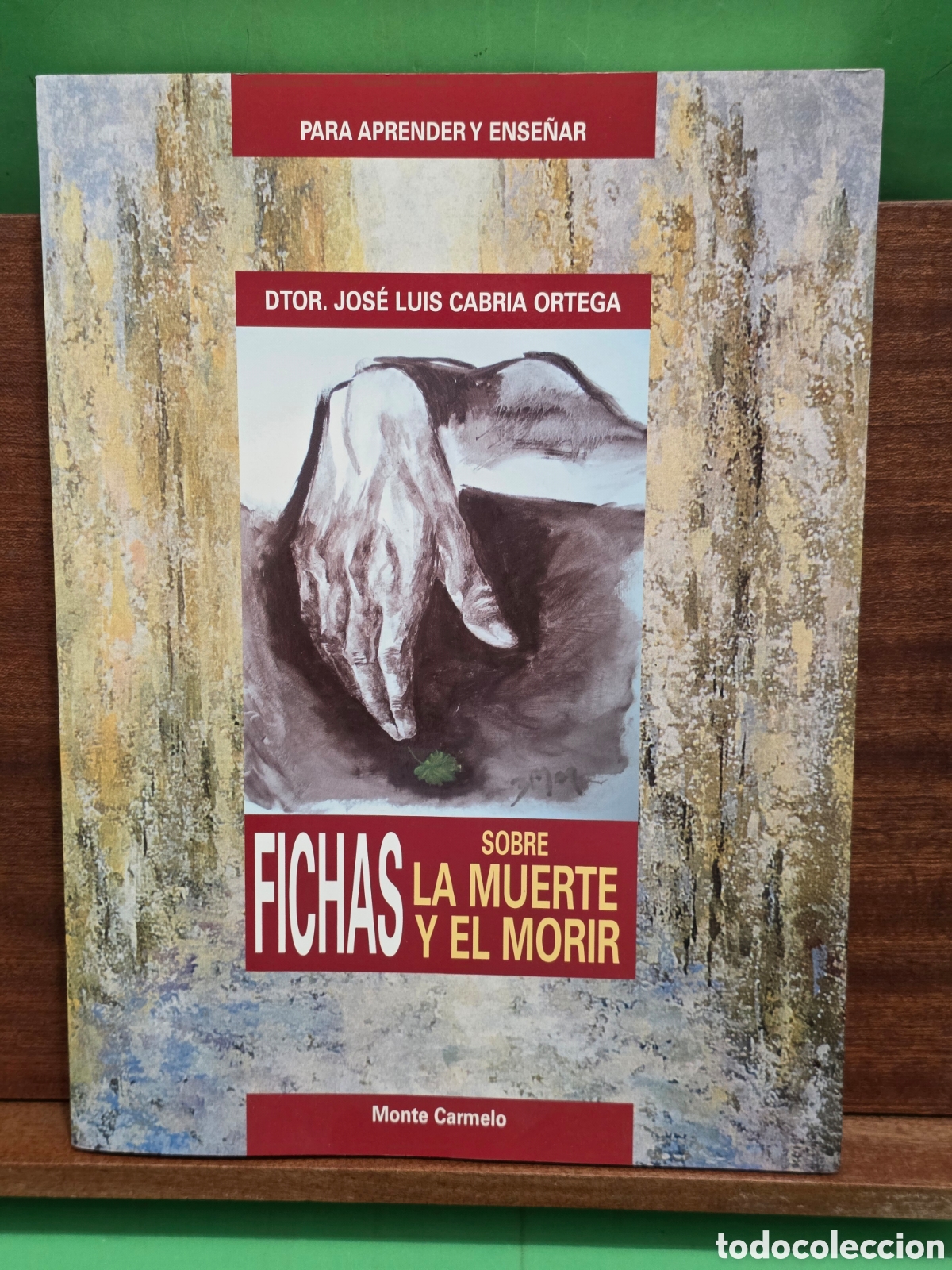 Libros de segunda mano: &rdquo;&rdquo;FICHAS SOBRE LA MUERTE Y EL MORIR&rdquo;&rdquo;...VV. AA...MONTE CARMELO...2009...