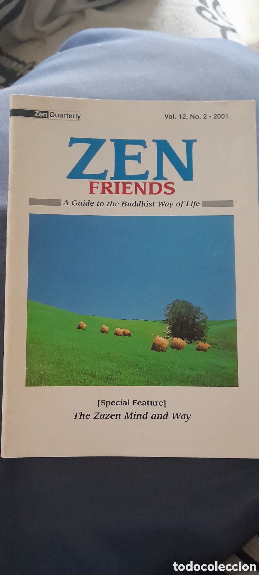 Libros de segunda mano: Zen friends. Guide to Buddhist way of life