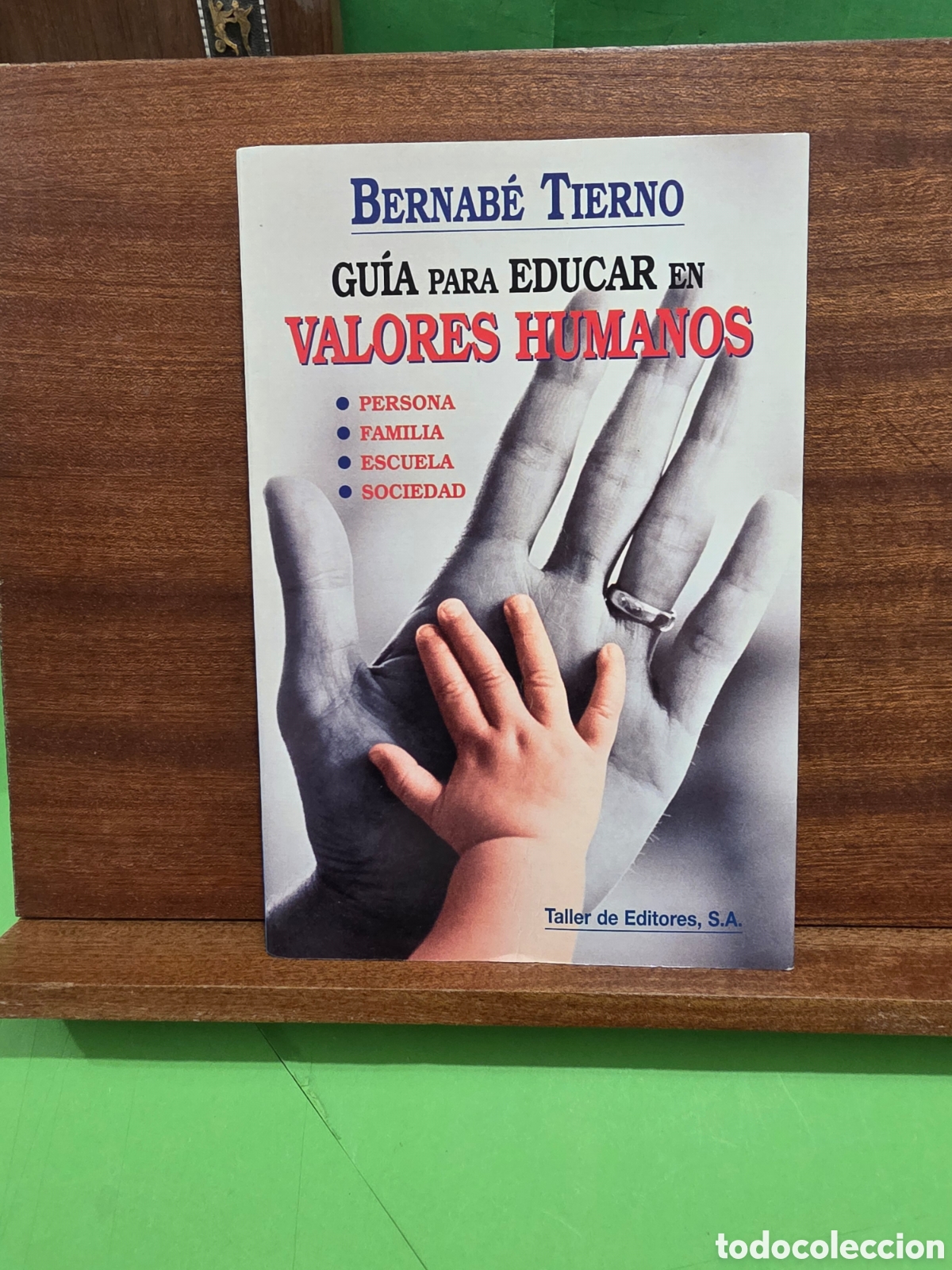 Libros de segunda mano: &rdquo;&rdquo;GU&Iacute;A PARA EDUCAR EN VALORES HUMANOS&rdquo;&rdquo;...BERNAB&Egrave; TIERNO...TALLER DE EDITORES...1996...