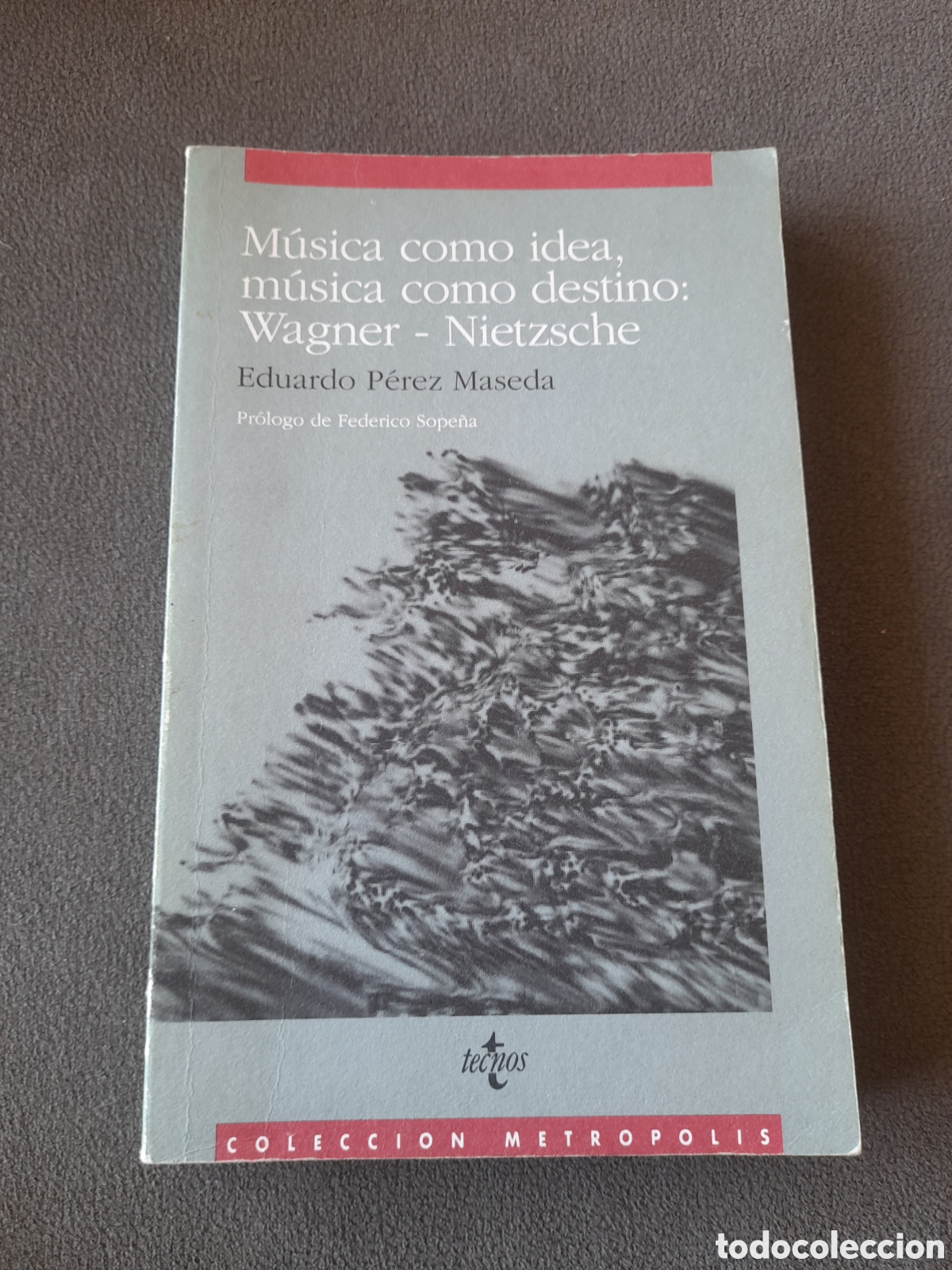 Libros de segunda mano: M&uacute;sica como idea,m&uacute;sica como destino: Wagner-Nietzsche por Eduardo P&eacute;rez Maseda