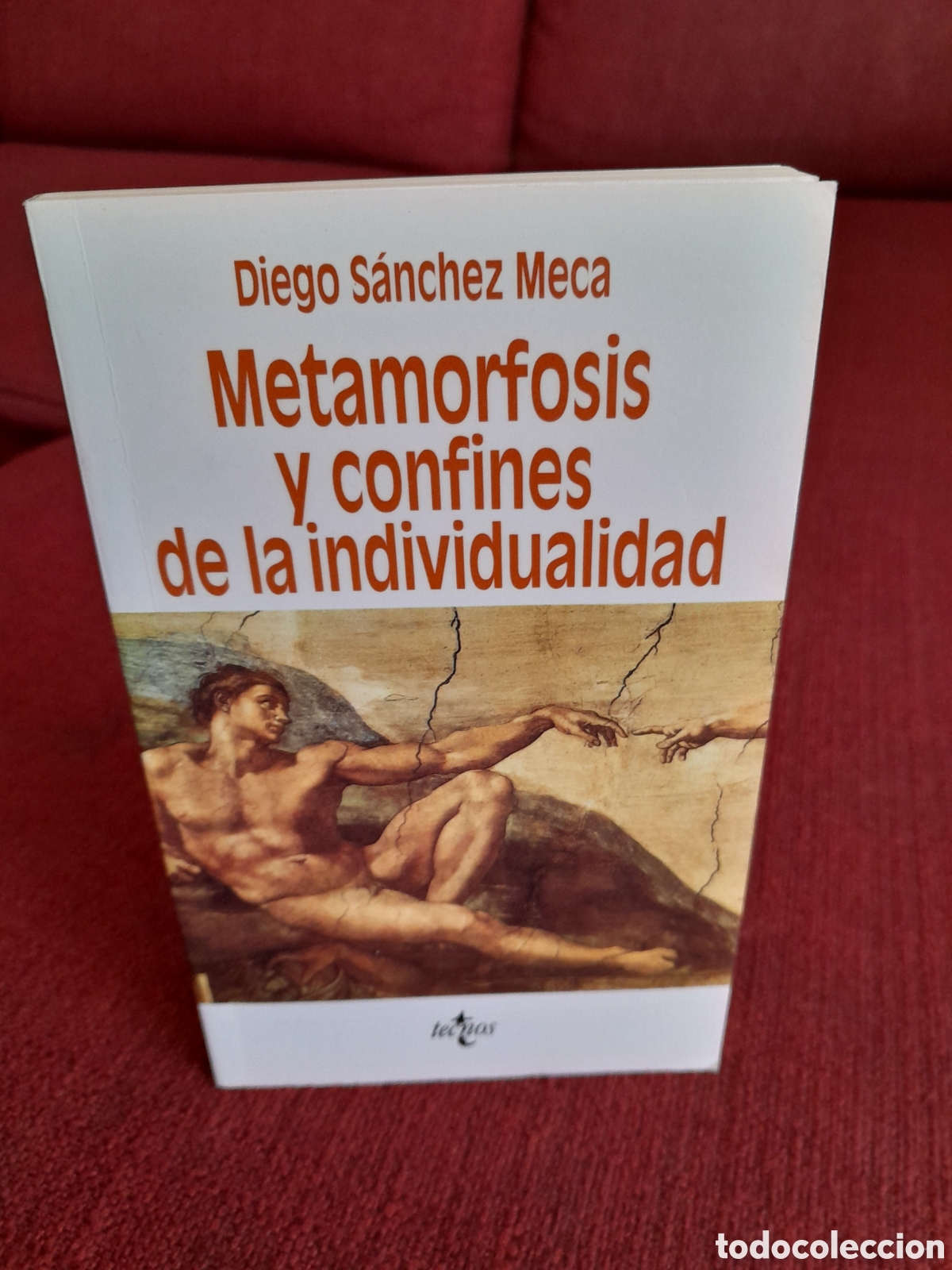 Libros de segunda mano: Metamorfosis y confines de la individualidad. -Autor:Diego S&aacute;nchez Meca.