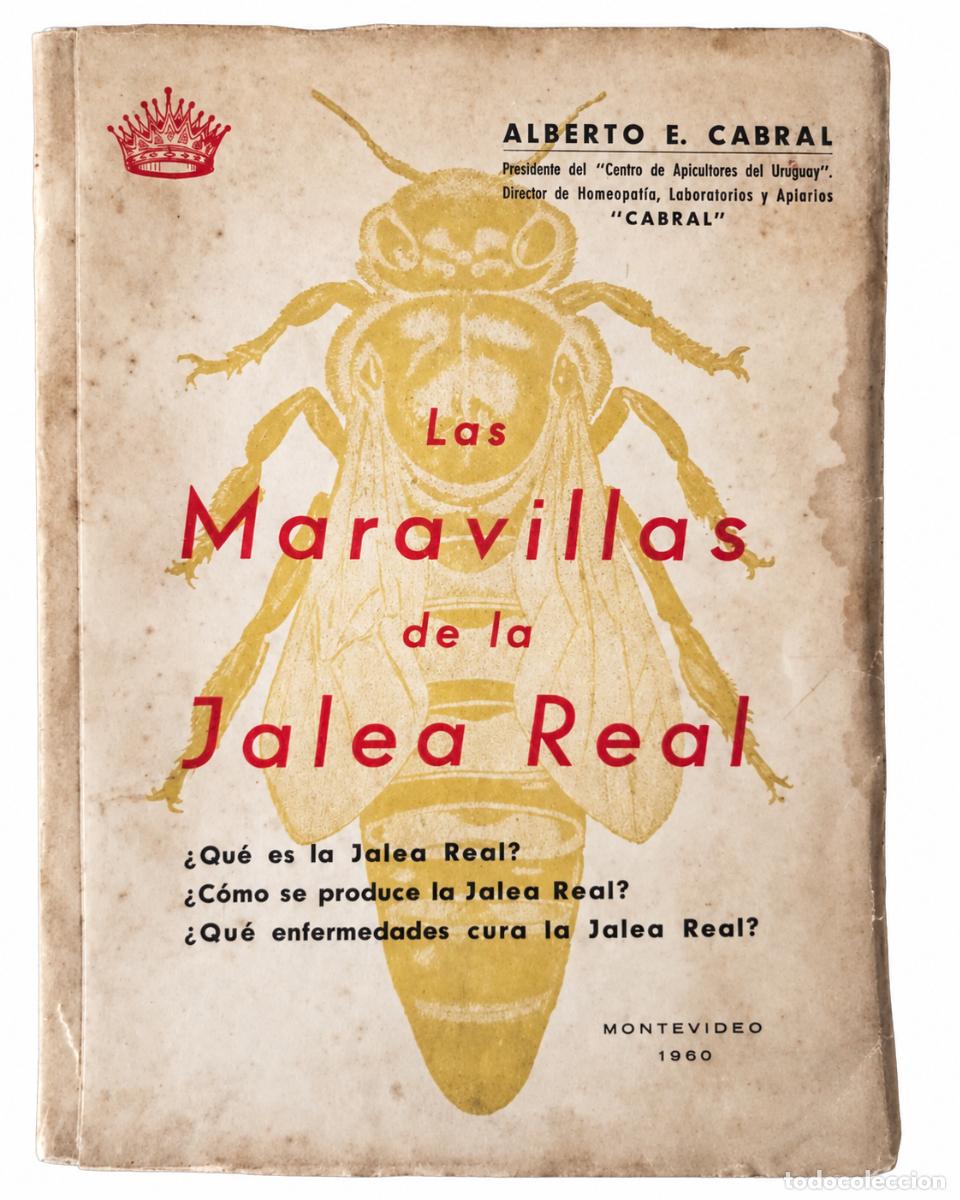 Libros de segunda mano: ALBERTO E. CABRAL &ndash; LAS MARAVILLAS DE LA JALEA REAL &ndash; MONTEVIDEO &ndash; 1960 &ndash; LM