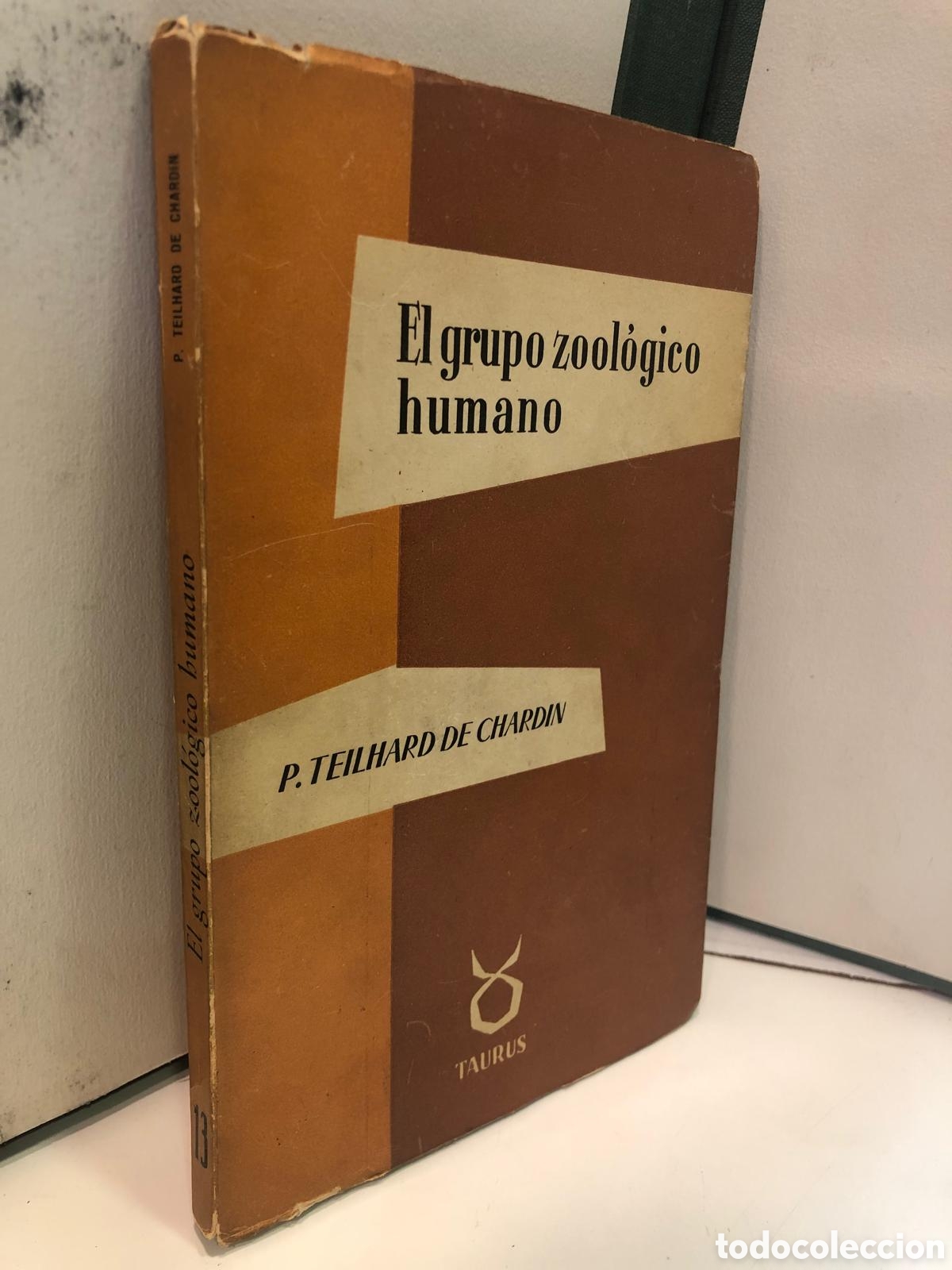 Second hand books: El grupo zool&oacute;gico humano - P. Teilhard de Chardin