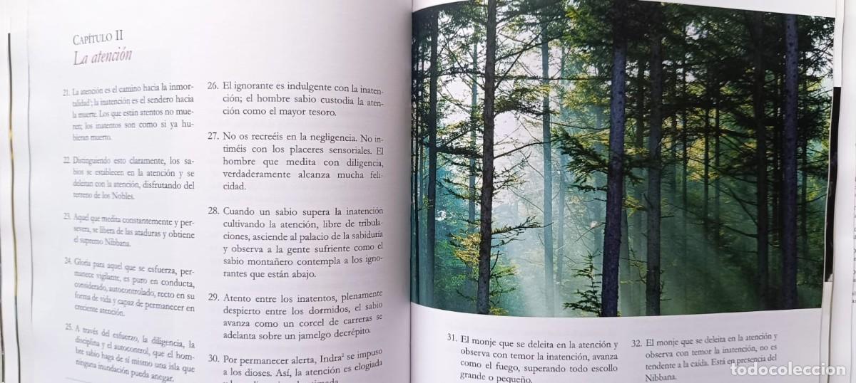 Libros de segunda mano: LIBROS GURDJIEFF Y BUDA SABIDURIA PERENNE - Foto 12