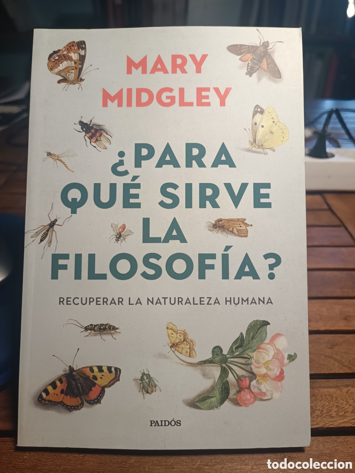 Livres d'occasion: &iquest;Para qu&eacute; sirve la filosof&iacute;a? Recuperar la naturaleza humana Mary Midgley paidos 2026