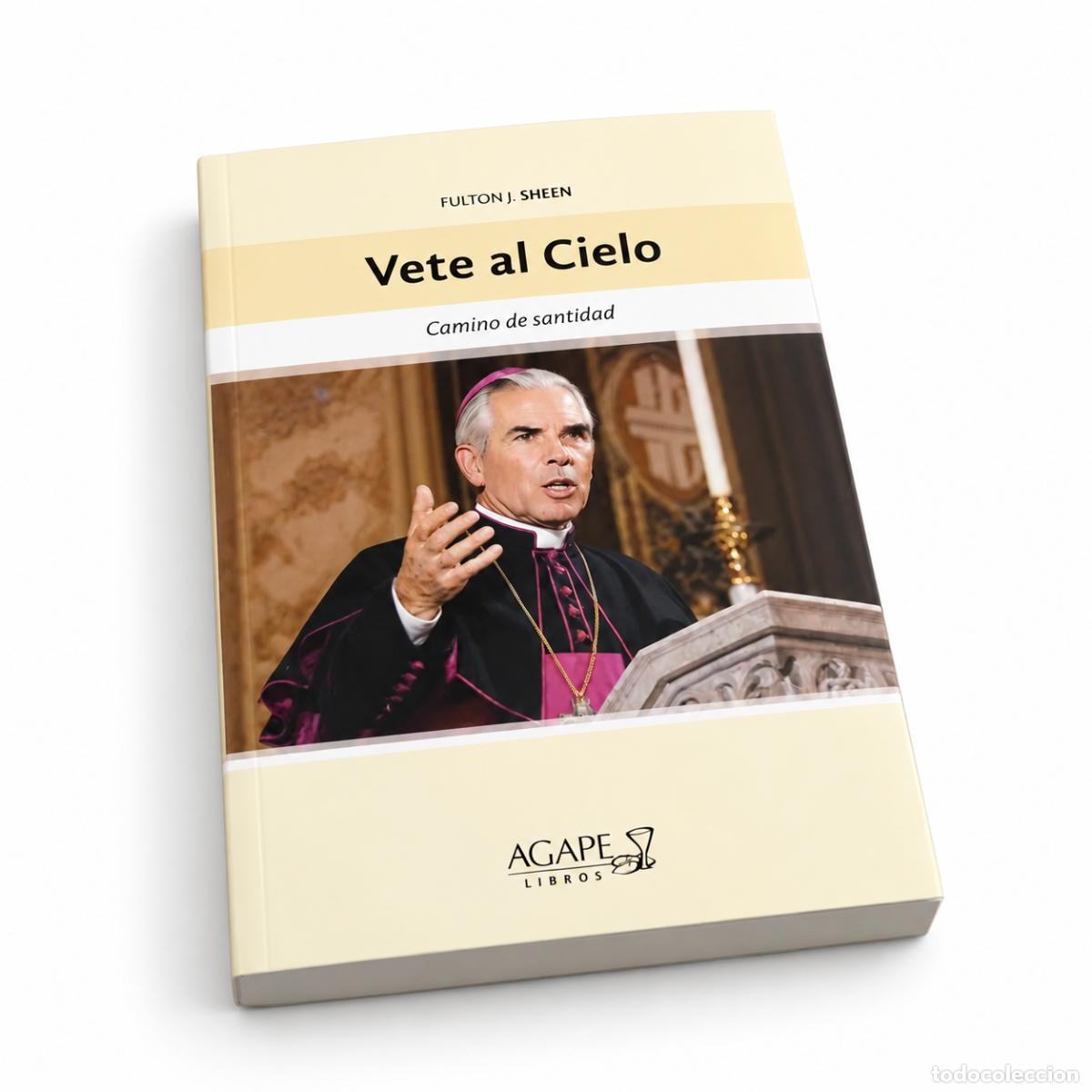 Libri di seconda mano: VETE AL CIELO. CAMINO DE SANTIDAD &ndash; FULTON J. SHEEN &ndash; &Aacute;GAPE LIBROS &ndash; LM