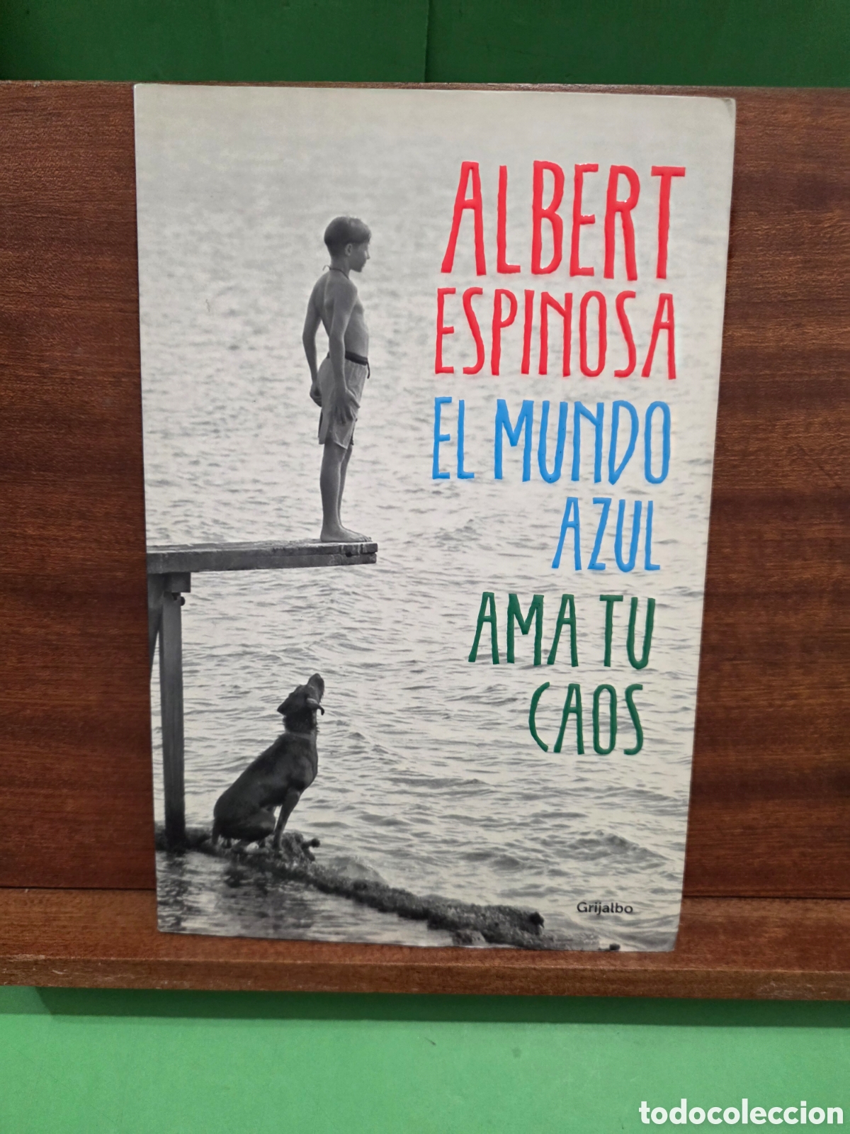 Libros de segunda mano: ALBERT ESPINOSA...&rdquo;&rdquo;EL MUNDO AZUL, AMA TU CAOS&rdquo;&rdquo;. GRIJALBO...2015...