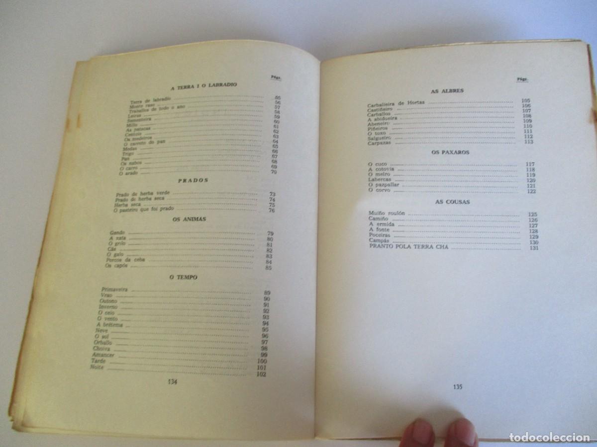 Libros de segunda mano: MANUEL MAR&Iacute;A Terra ch&aacute; (gallego) W22011 - Foto 5