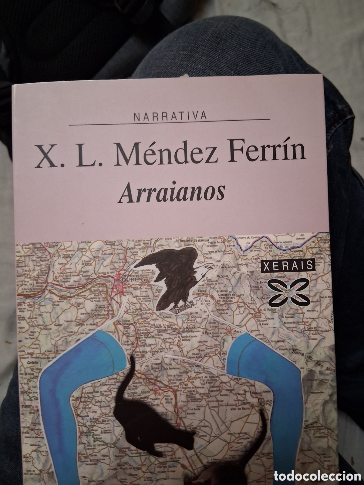 Libros de segunda mano: Arraianos X.L M&eacute;ndez Ferrin - Foto 1