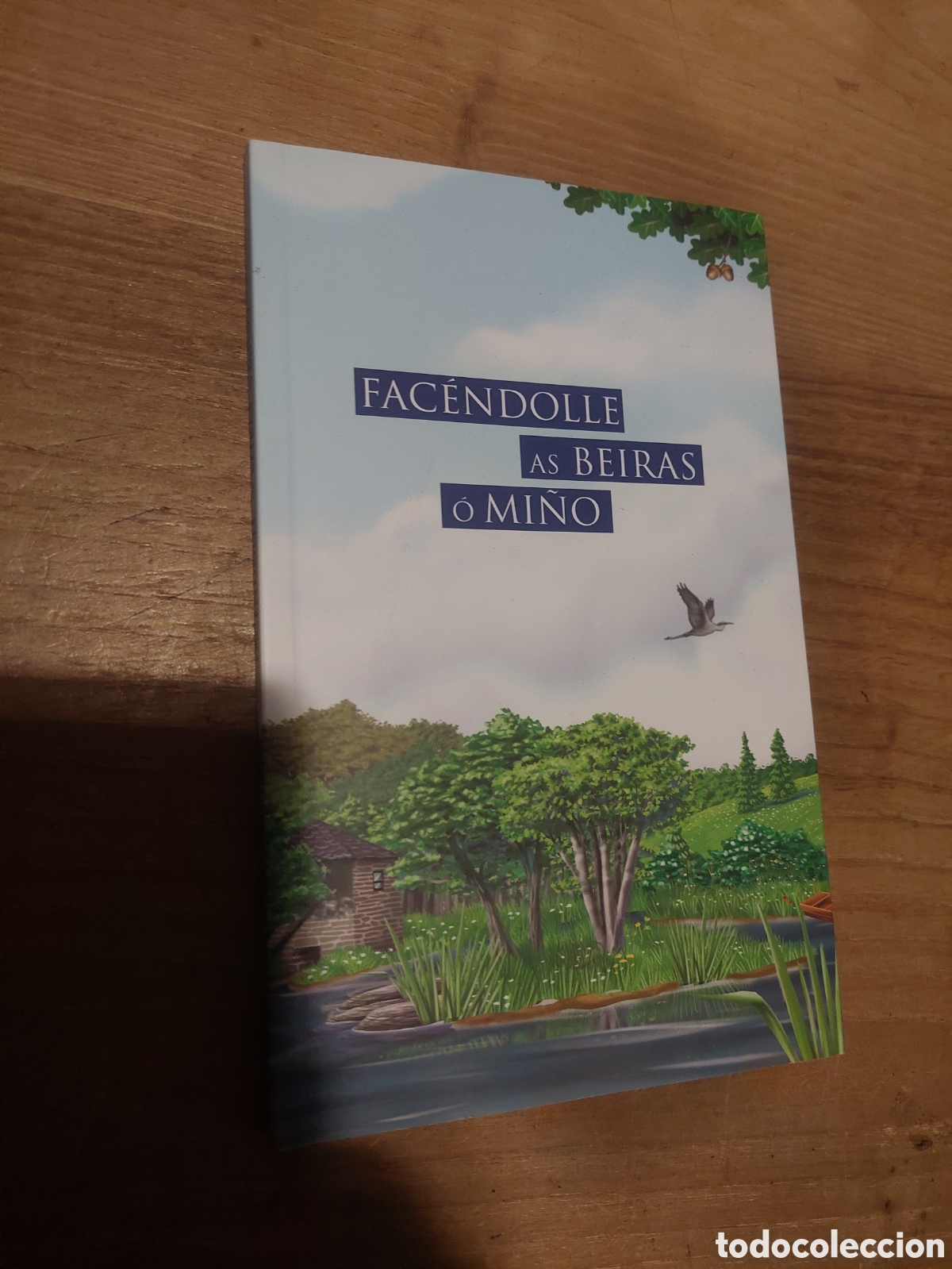 Libros de segunda mano: GALICIA GACENDOLLE AS BEIRAS O CAMI&Ntilde;O