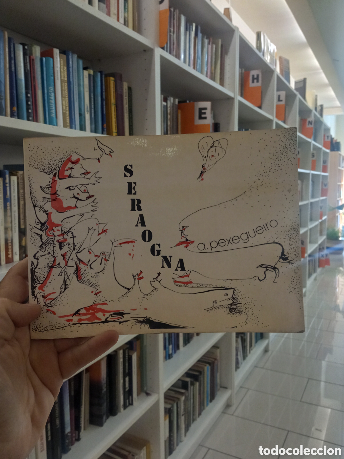 Libros de segunda mano: A.PEXEGUEIRO-SERAOGNA-COLECCION ROMPENTE