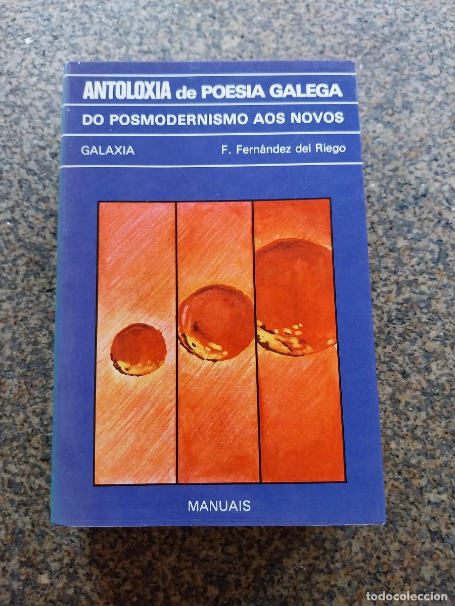 Libros de segunda mano: ANTOLOXIA DE POESIA GALEGA - DO POSMODERNISMO AOS NOVOS - FERNANDEZ DEL RIEGO -- GALAXIA --