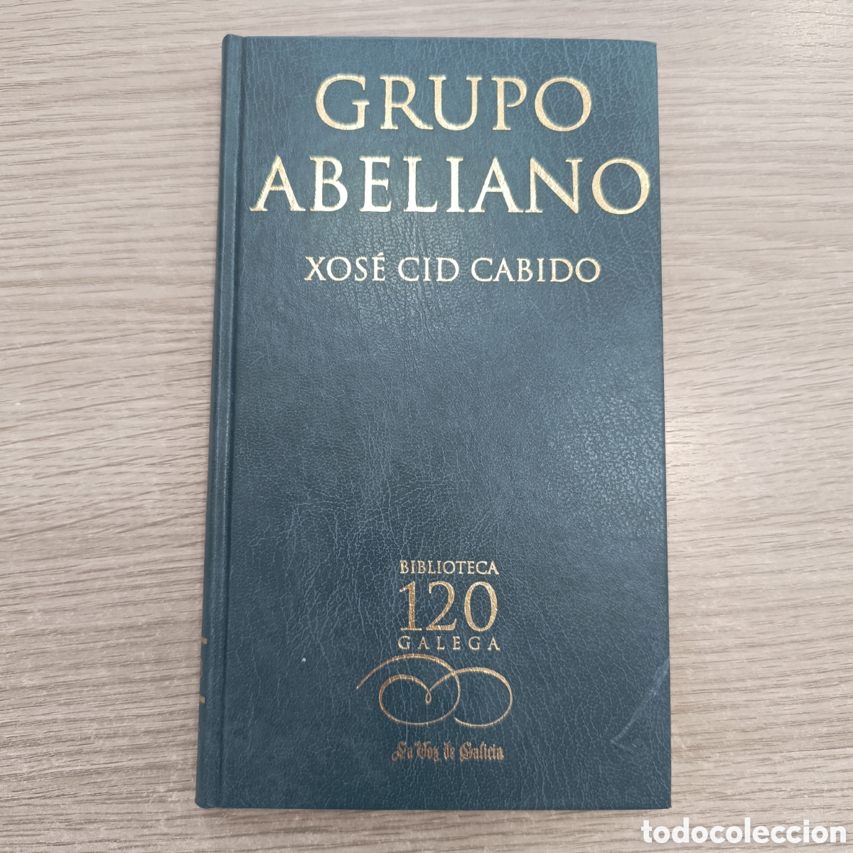 Libros de segunda mano: &rdquo;Grupo abeliano&rdquo; Xos&eacute; Cid Cabido.