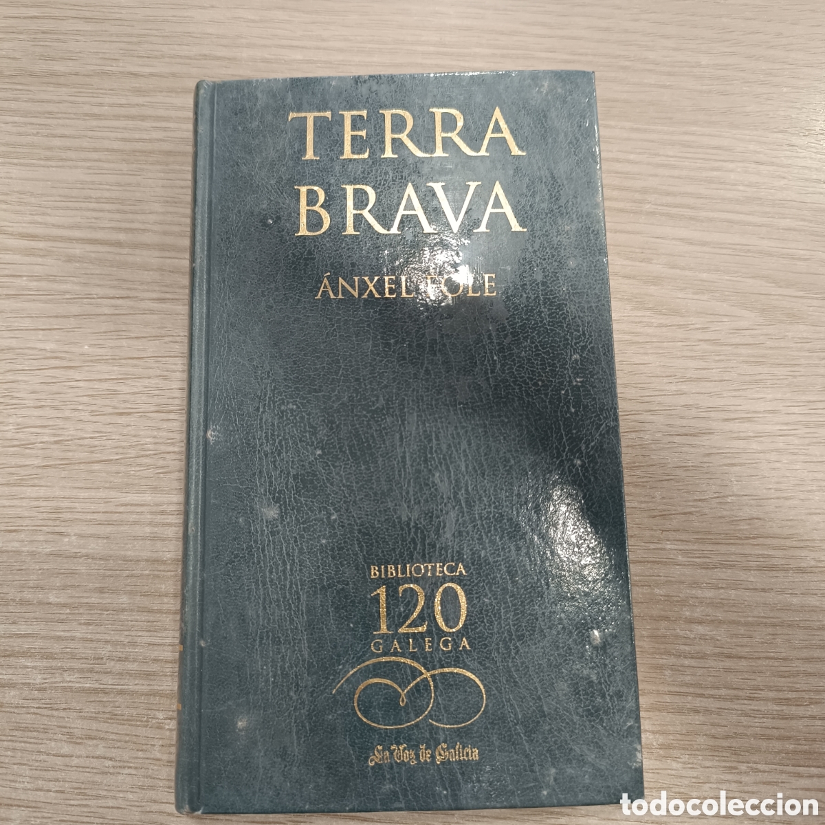 Libros de segunda mano: Terra brava. &Aacute;nxel Fole