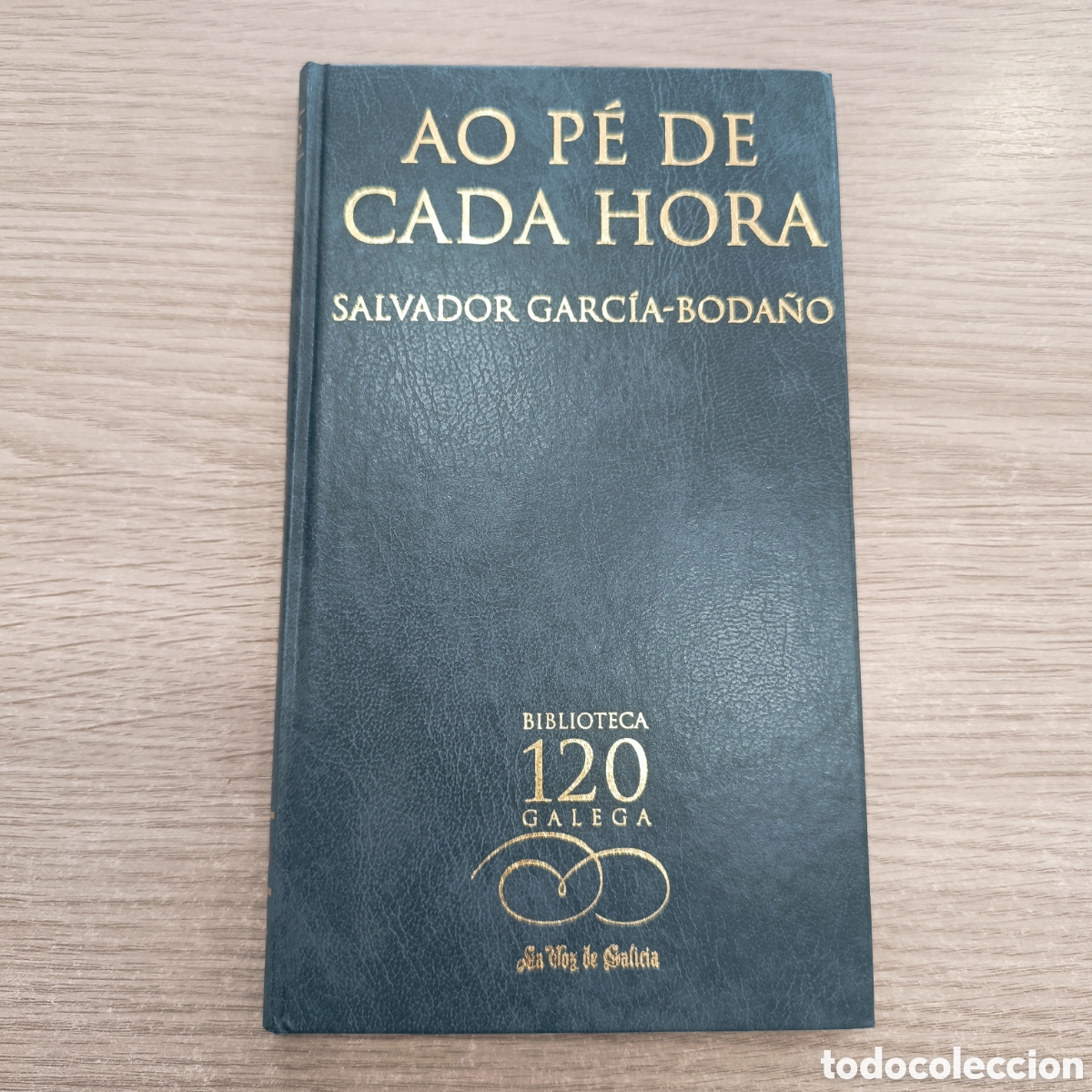 Libros de segunda mano: Ao p&eacute; de cada hora. Salvador Garc&iacute;a Boda&ntilde;o