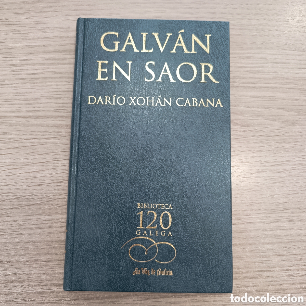 Libros de segunda mano: Galv&aacute;n en Saor. Dar&iacute;o Xoh&aacute;n Caba&ntilde;a.