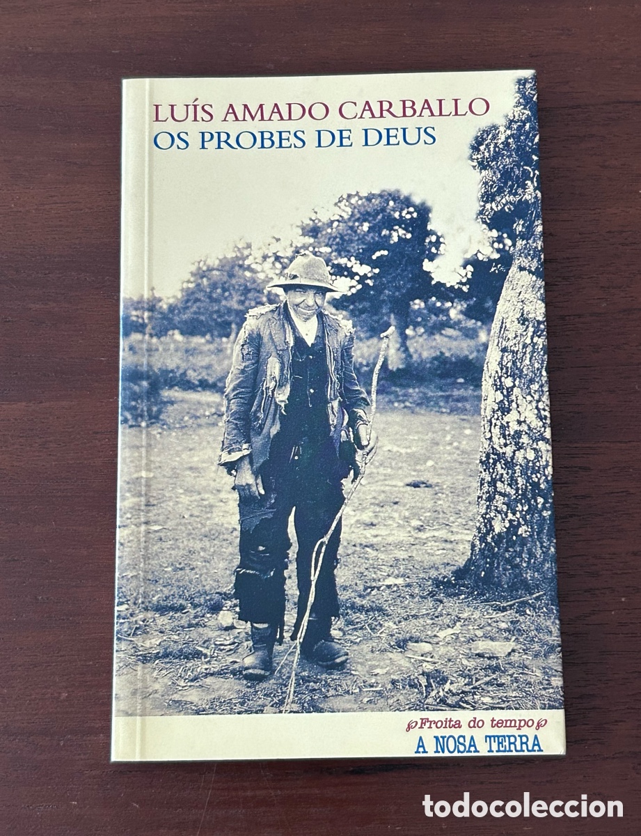 Libros de segunda mano: OS PROBES DE DEUS. LU&Iacute;S AMADO CARBALLO. A NOSA TERRA. COLECCI&Oacute;N FROITA DO TEMPO. 1a. EDICI&Oacute;N, 2002