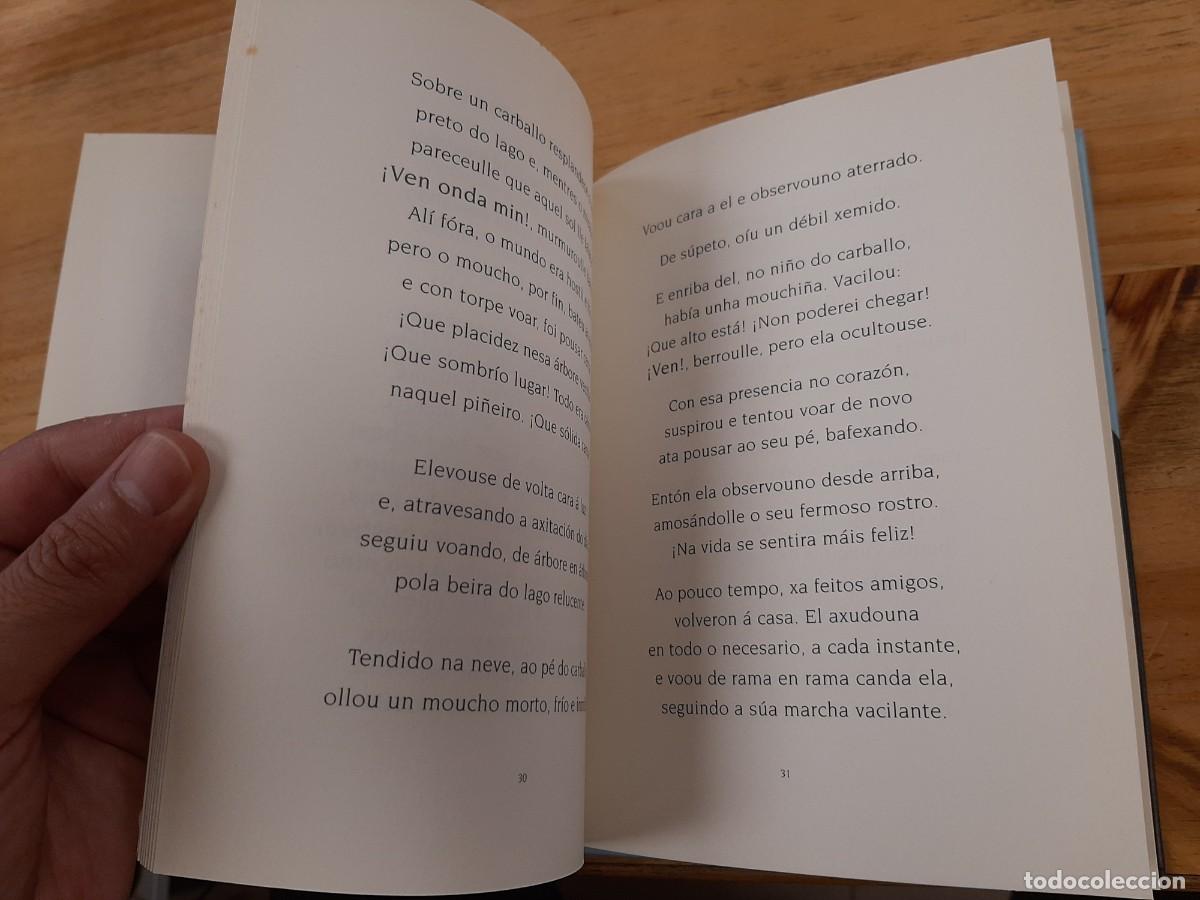 Libros de segunda mano: Voar de noite - Randall Jarrell - Kalandraka, 2001 - Foto 7