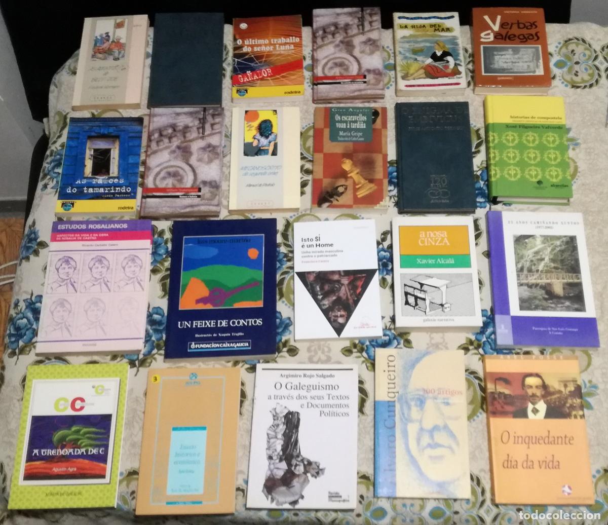 Libros de segunda mano: Lote de 22 libros en gallego (Lote 18)