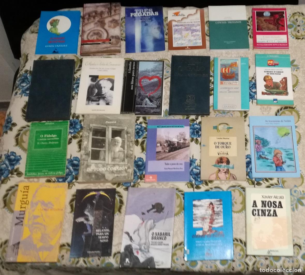 Libros de segunda mano: Lote de 22 libros en gallego (Lote 38)