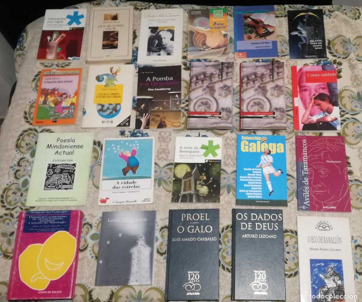 Libros de segunda mano: Lote de 22 libros en gallego (Lote 99)