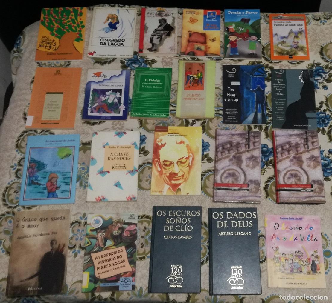 Libros de segunda mano: Lote de 22 libros en gallego (Lote 100)