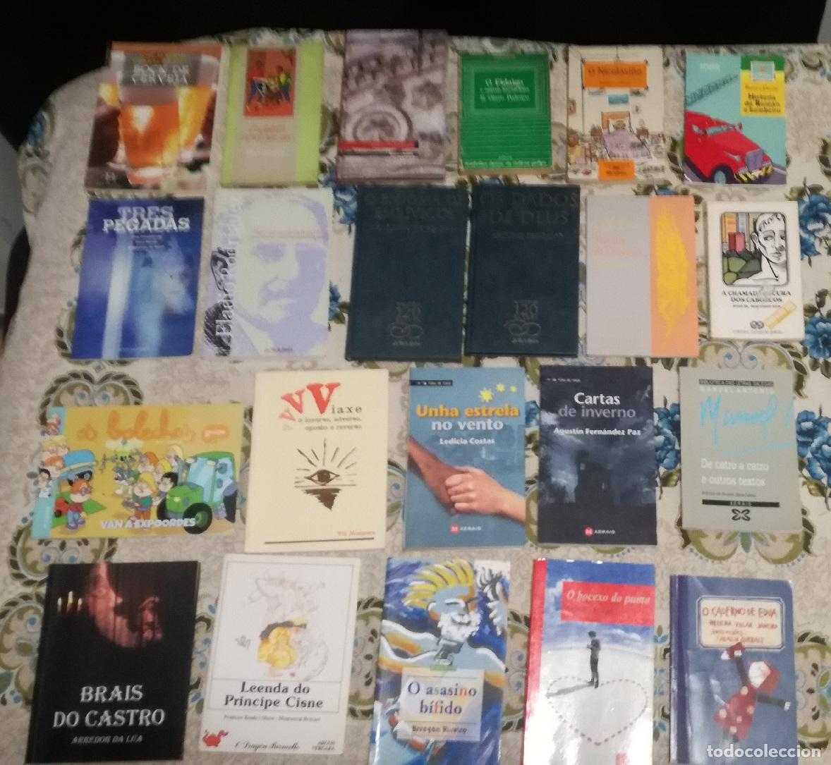 Livros em segunda m&atilde;o: Lote de 22 libros en gallego (Lote 101)