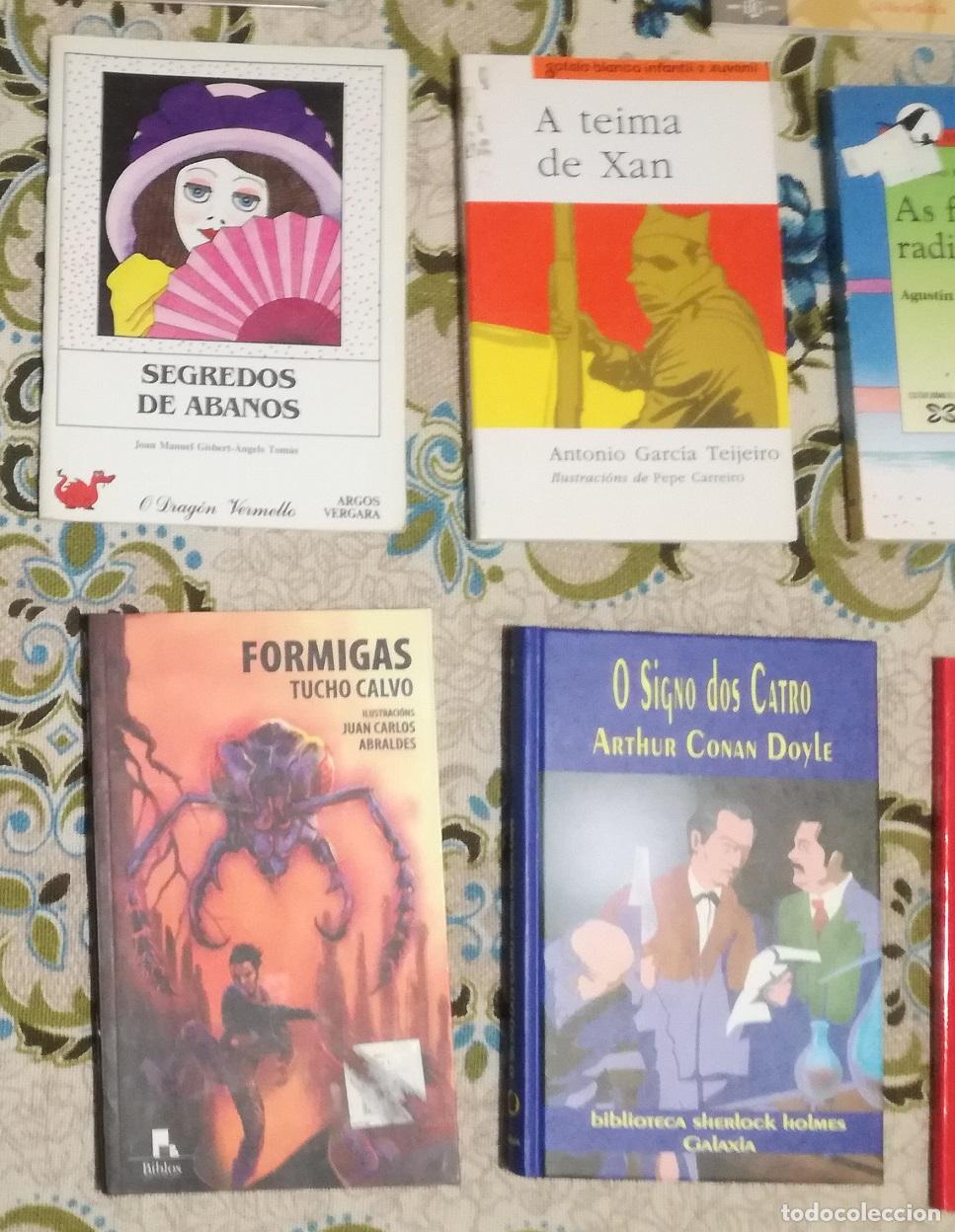 Libros de segunda mano: Lote de 22 libros en gallego (Lote 102) - Foto 4