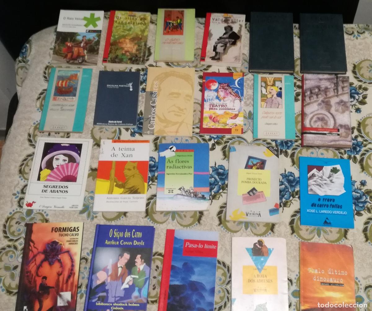 Livros em segunda m&atilde;o: Lote de 22 libros en gallego (Lote 102)
