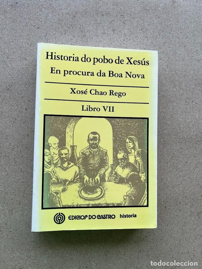 Libros de segunda mano: Historia do pobo de Xes&uacute;s / En procura da Boa Nova / Xos&eacute; Chao Rego / Libro VII / EN GALLEGO /