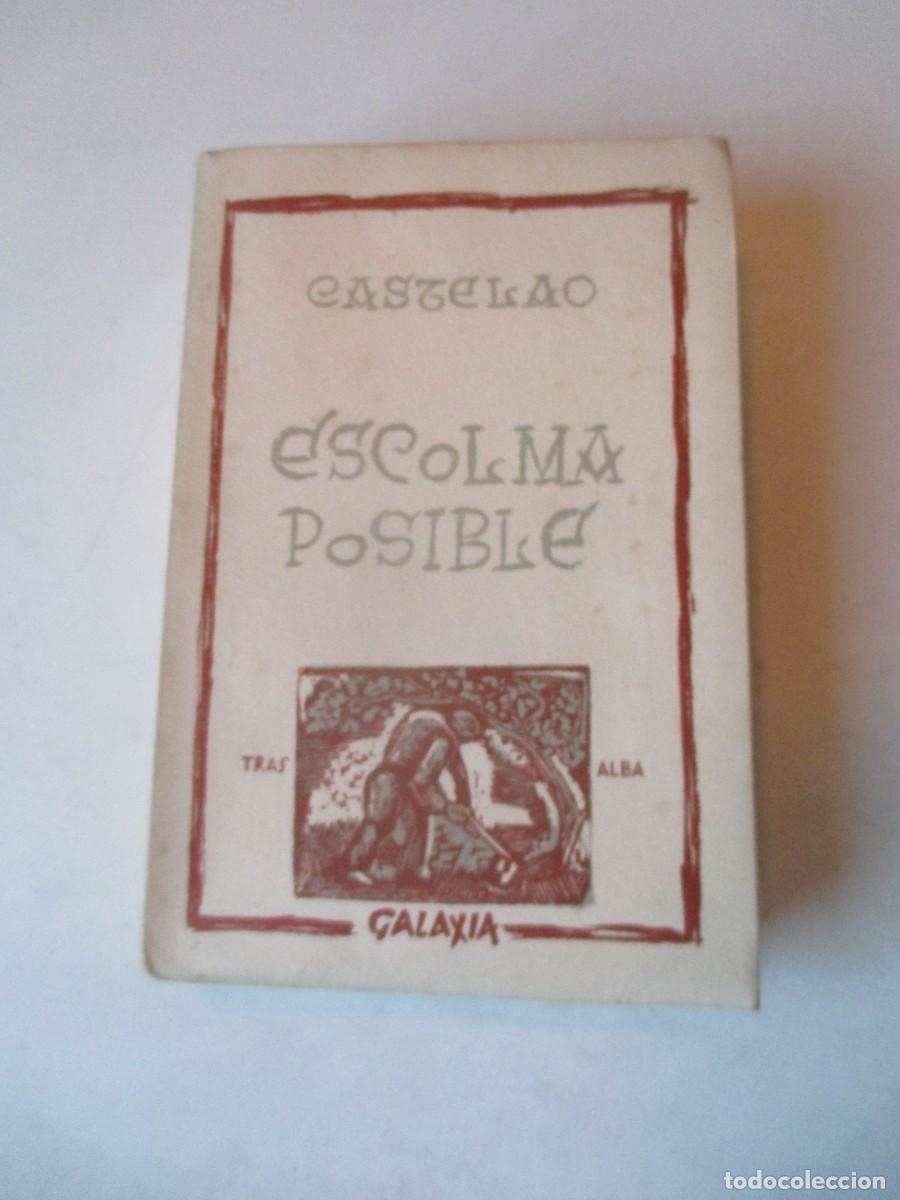 Libros de segunda mano: CASTELAO Escolma posible (gallego , 1964) W41548