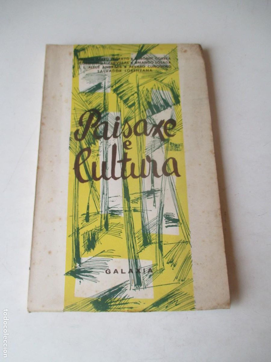 Libros de segunda mano: VV.AA. Paisaxe e cultura (gallego) W41579