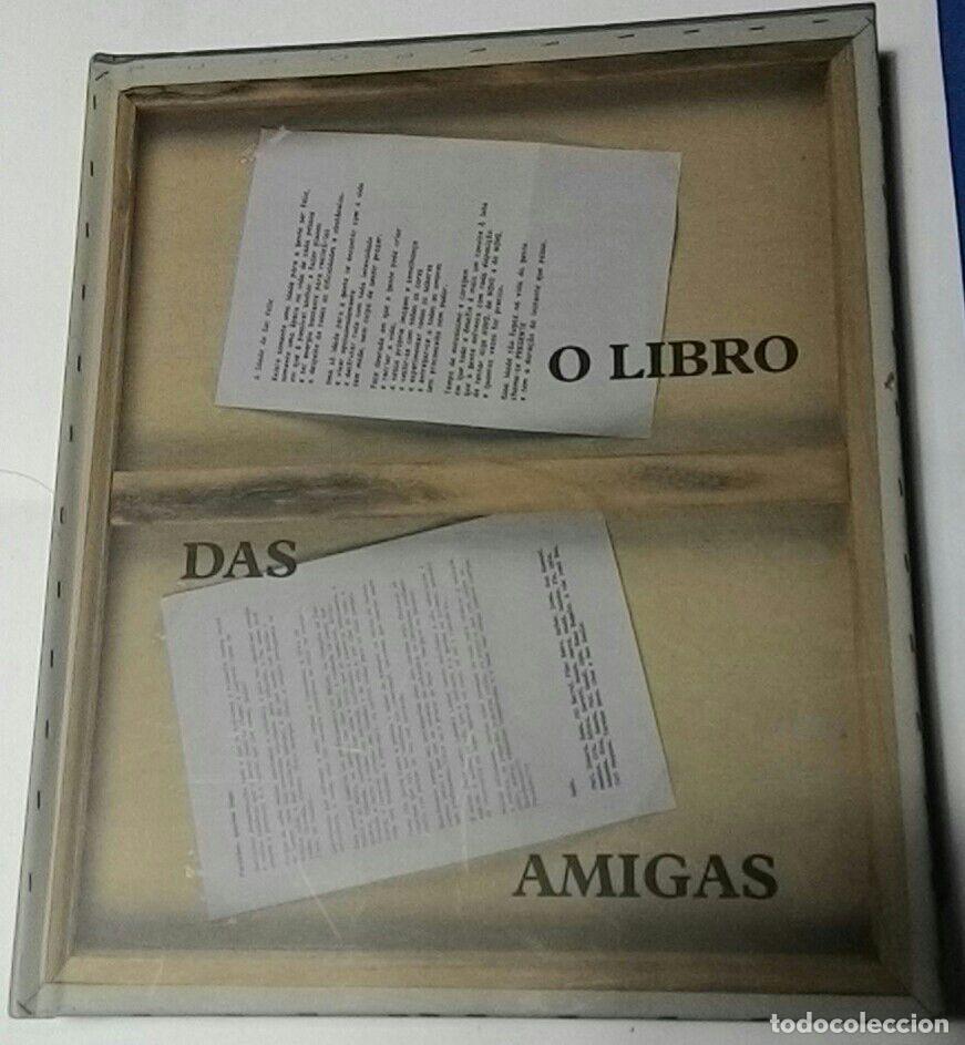 Libros de segunda mano: O libro da amigas (homenaxe a Bego&ntilde;a Caama&ntilde;o) - VV.AA. ilustraci&oacute;ns de Leandro Lamas e Montse Amigo