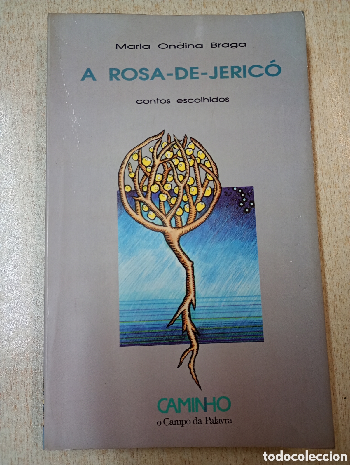 Libros de segunda mano: Mar&iacute;a Ondina Braga. A Rosa De Jeric&oacute;. 9789722107532. Portugu&eacute;s